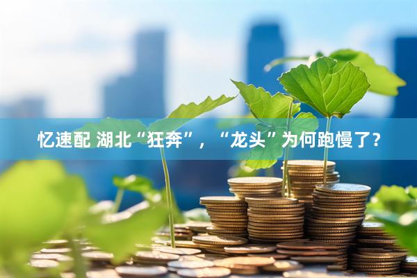 忆速配 湖北“狂奔”，“龙头”为何跑慢了？