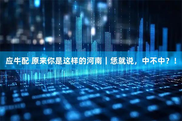 应牛配 原来你是这样的河南｜恁就说，中不中？！